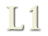 L1